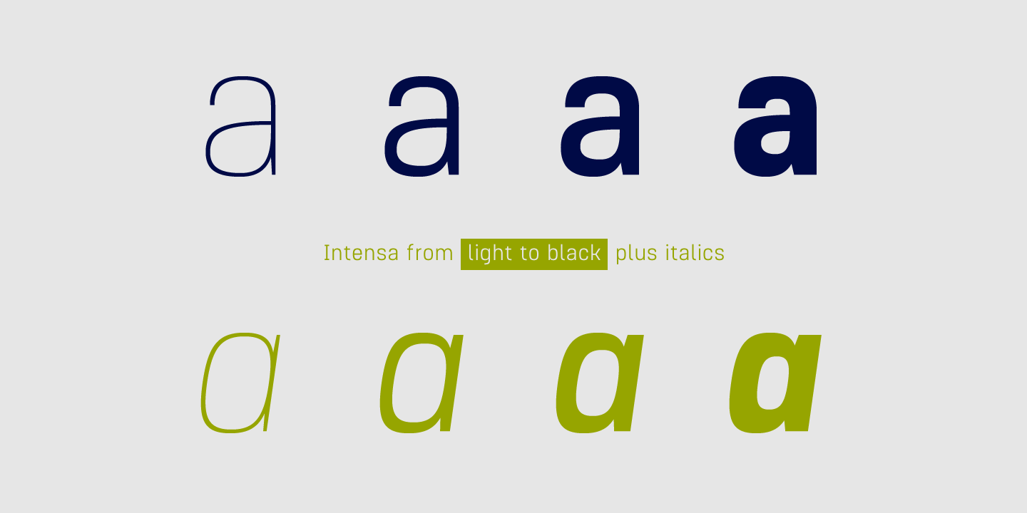 Example font Intensa #5